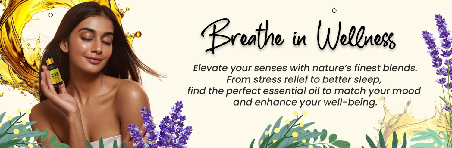 Anshil Wellness promo